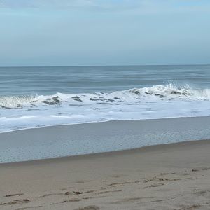 Meet your Posher, Pam